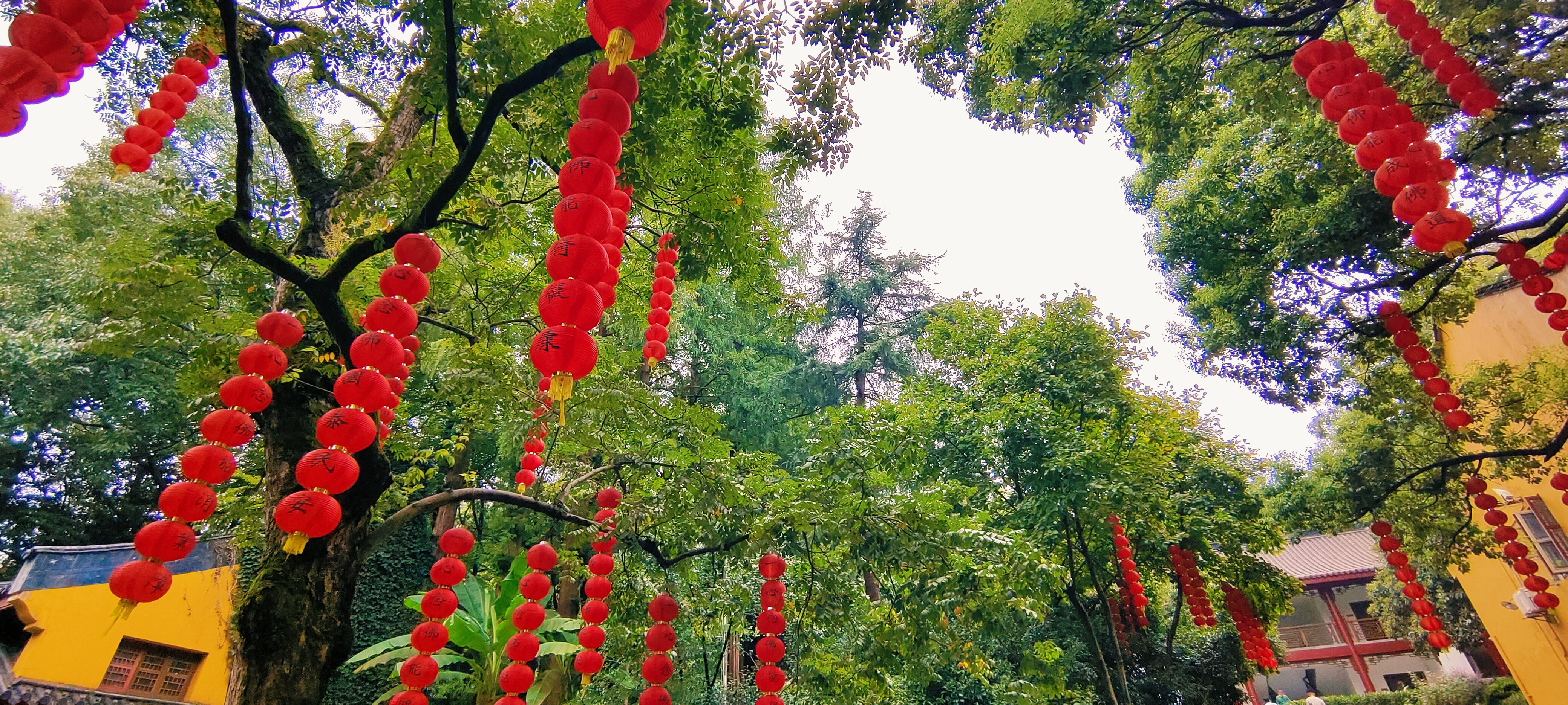 大红灯笼高高挂