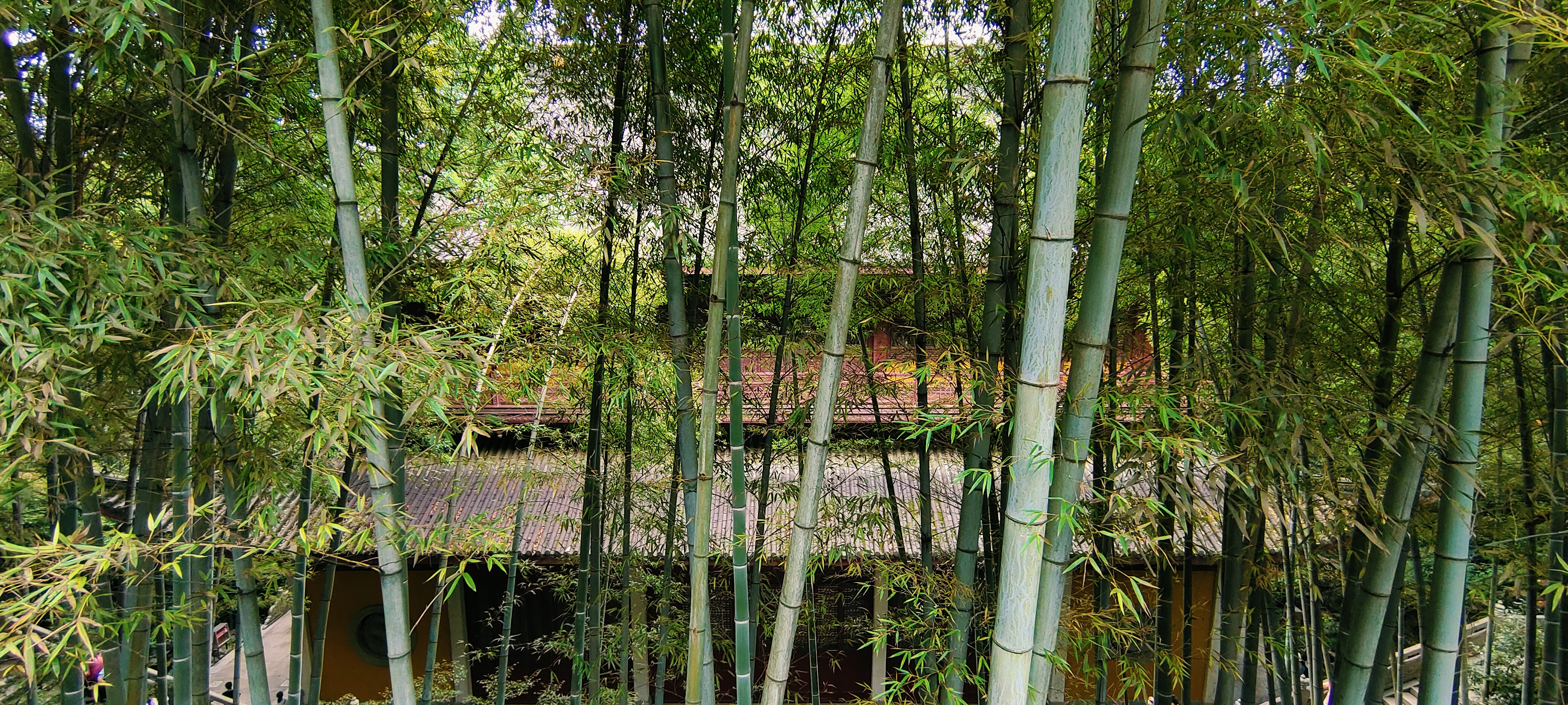 灵隐寺 · 竹林 · 殿